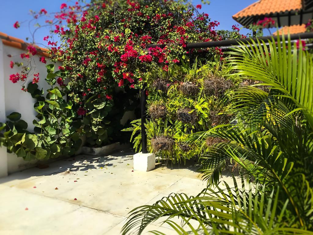 Bed and Breakfast Casa Ines Санта-Марта Екстер'єр фото